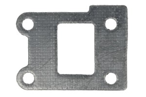 Uszczelnienie zaworu EGR R520789-FP