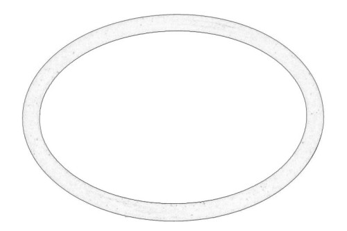 Oring skrzyni biegów 6005019089-CL - Intertraktor
