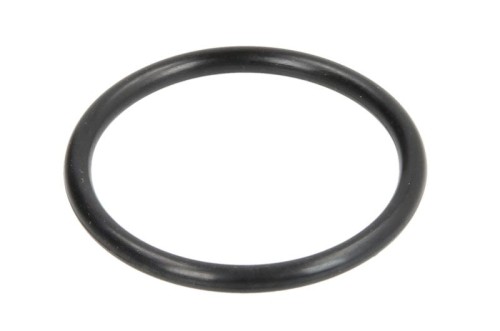 Oring 0501317046ZF - Intertraktor