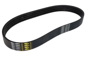 Pasek klinowy 1425191-GAT