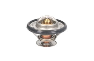 Termostat środka chłodzącego D2DE001TT