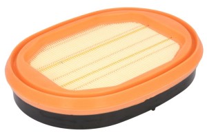Filtr powietrza P635979