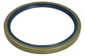 Uszczelniacz piasty koła B06-2185