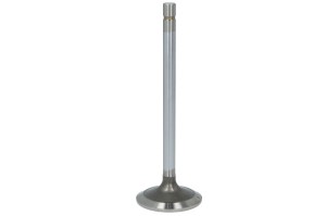 Zawór ssący R84618-FP