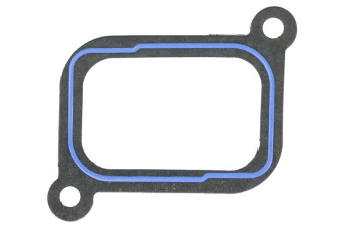 Uszczelka kolektora dolotowego R130573-FP - Intertraktor