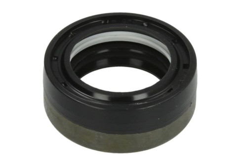Zestaw naprawczy mechanizmu różnicowego 644149-CR - Intertraktor