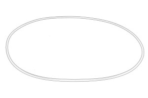 Oring skrzyni biegów 6005018809-CL