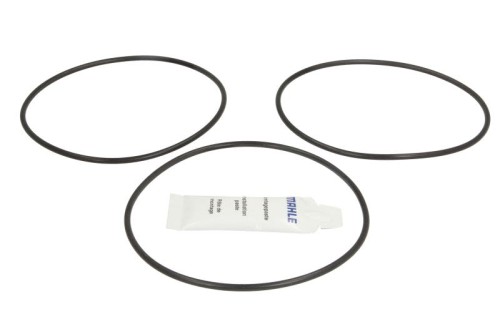 Zestaw uszczelek tulei cylindra 439 SK 50039 000 - Intertraktor
