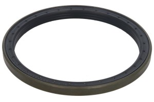 Uszczelniacz piasty koła 0734309401ZF