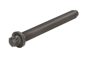 Śruba głowicy cylindrów 04251251