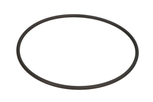 Oring 0634304195ZF - Intertraktor