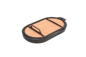 Filtr powietrza P615493