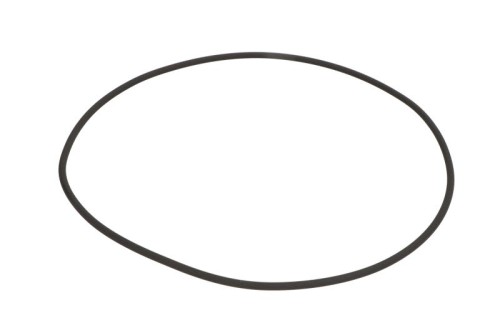 Oring 0634313250ZF - Intertraktor