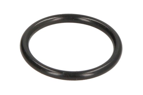 Oring 0634306214ZF - Intertraktor