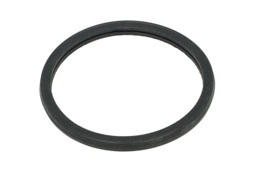 Uszczelka termostatu R521548-FP - Intertraktor
