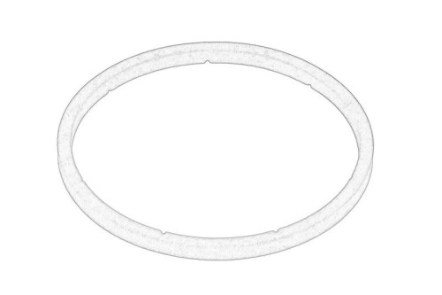 Oring skrzyni biegów 84205621-CNH - Intertraktor