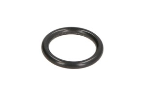Oring 0501327379ZF