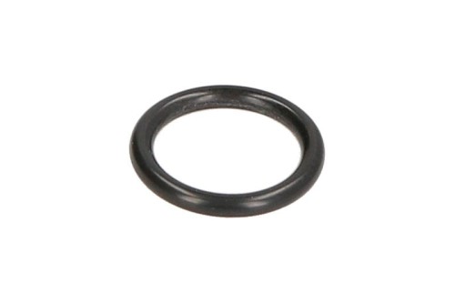 Oring 0501327379ZF - Intertraktor