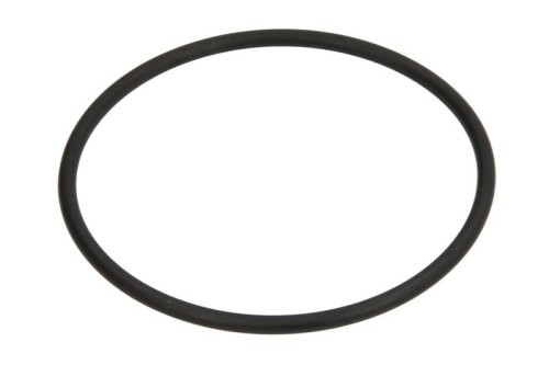 Oring 0634306268ZF - Intertraktor