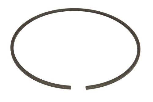 Pierścień zabezpieczający 0501320253ZF - Intertraktor