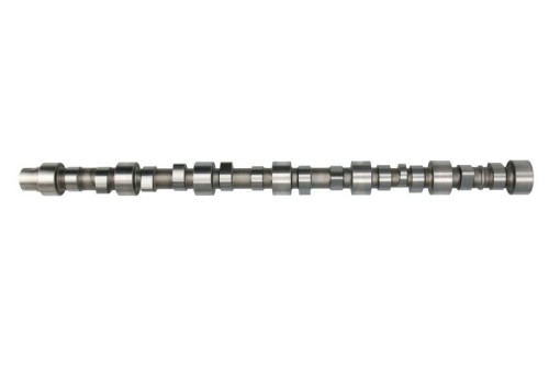 Wałek rozrządu 09 0500 C60000 - Intertraktor