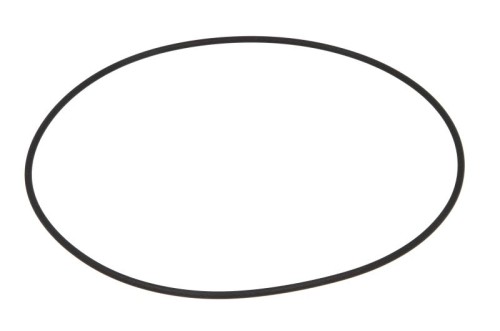 Oring 0501323689ZF - Intertraktor