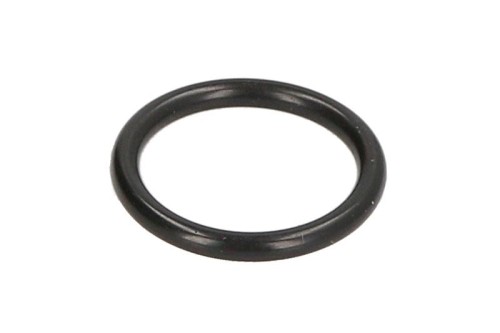 Oring 0634306524ZF - Intertraktor