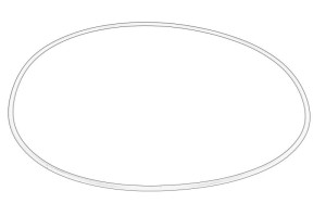 Oring skrzyni biegów 6005018798-CL