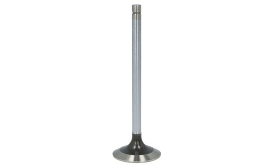 Zawór wydechowy R90692-FP - Intertraktor