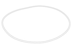 Oring skrzyni biegów 7700047393-CL