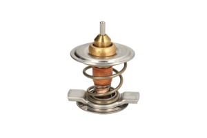 Termostat środka chłodzącego D2CL001TT