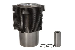 Zestaw naprawczy, tłoki / tuleje cylindrowe ENT059004 STD