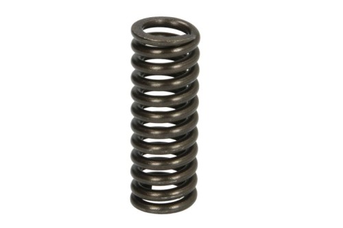 Zestaw naprawczy mechanizmu różnicowego 125209-CR - Intertraktor