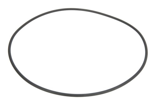 Oring 0501323506ZF - Intertraktor