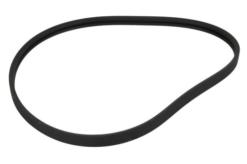 Pas wielorowkowy 1003592AP - Intertraktor