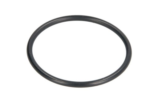 Oring 0634304929ZF - Intertraktor
