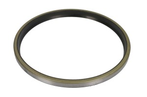 Uszczelniacz CO12015702B