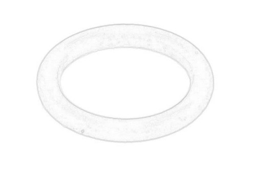 O-Ringi gumowe 4899072-CNH - Intertraktor