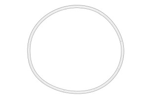 Uszczelka pompy paliwa R55453-JD