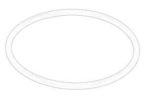 Oring skrzyni biegów 217405-CNH