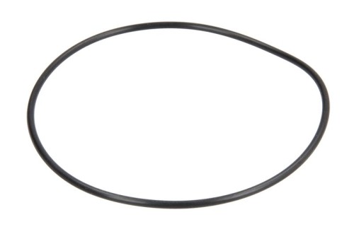 Oring 0501317047ZF - Intertraktor