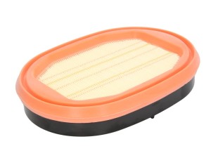 Filtr powietrza CF 2550