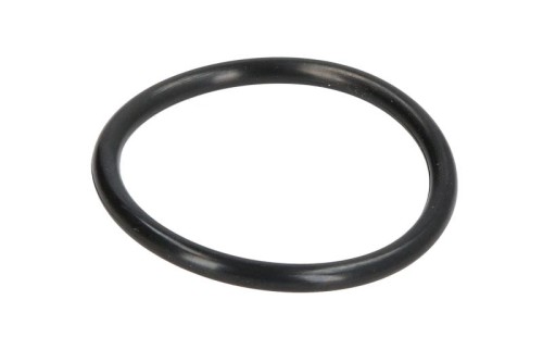 Oring 0501317049ZF - Intertraktor