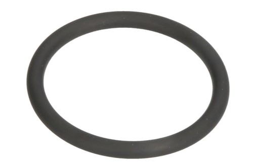 Oring uszczelniający przewodu cieczy chłodzącej 01180277 - Intertraktor