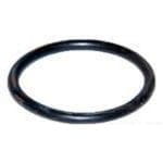 Oring 3147244R1 - Intertraktor