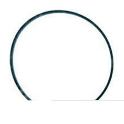 Oring 4966231 - Intertraktor