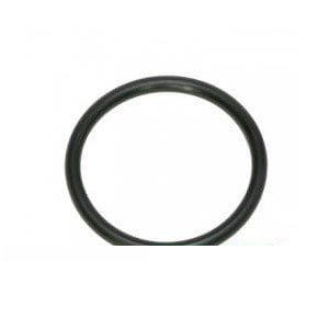 Oring 14464281 - Intertraktor