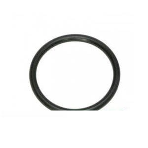 Oring 14464481 - Intertraktor