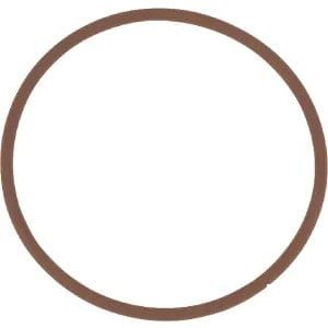 Oring 14459881 - Intertraktor