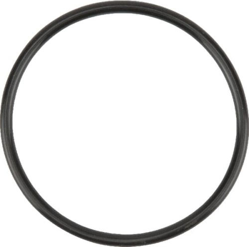 Uszczelka termostatu F716201050030 - Intertraktor